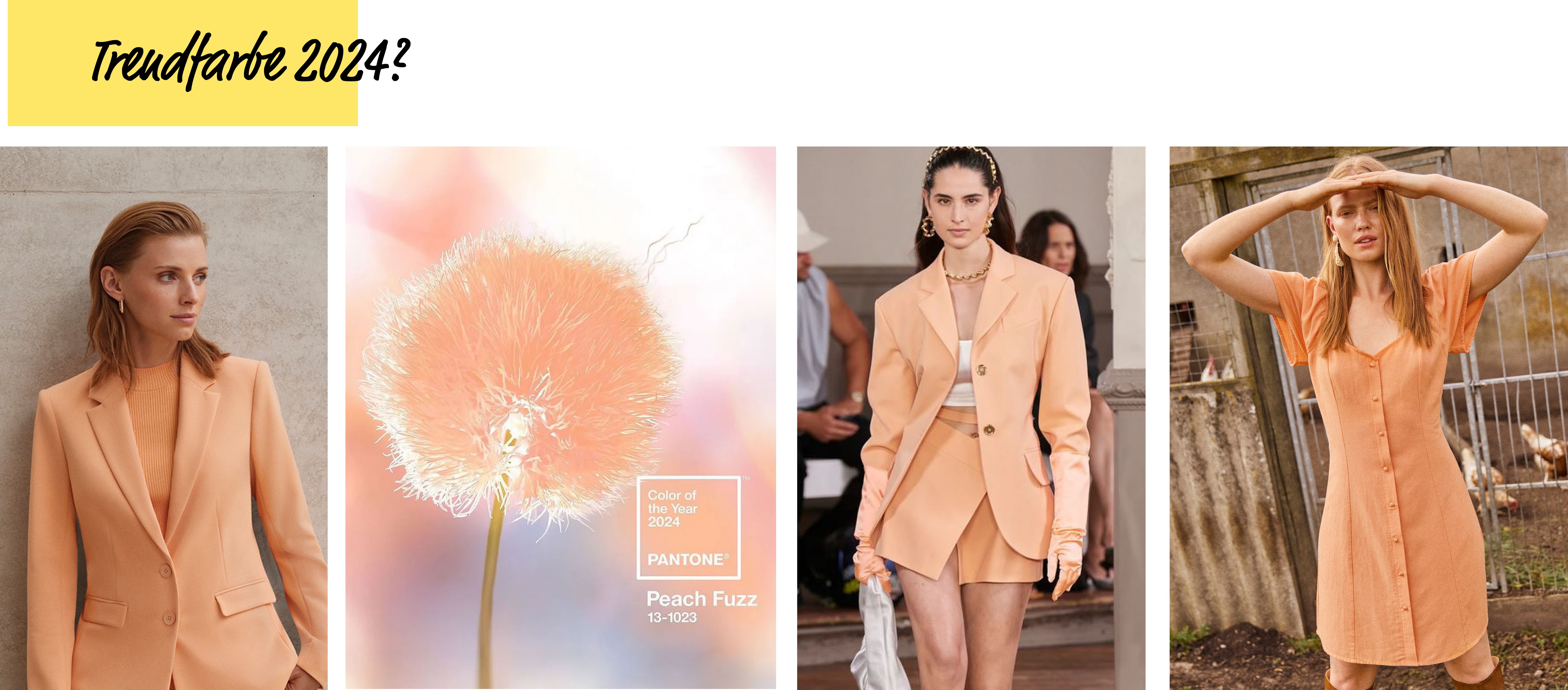 „Peach Fuzz“ ist die Trendfarbe des Jahres 2024!